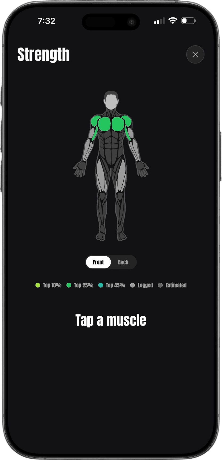 MuscleMaxx strength muscle map