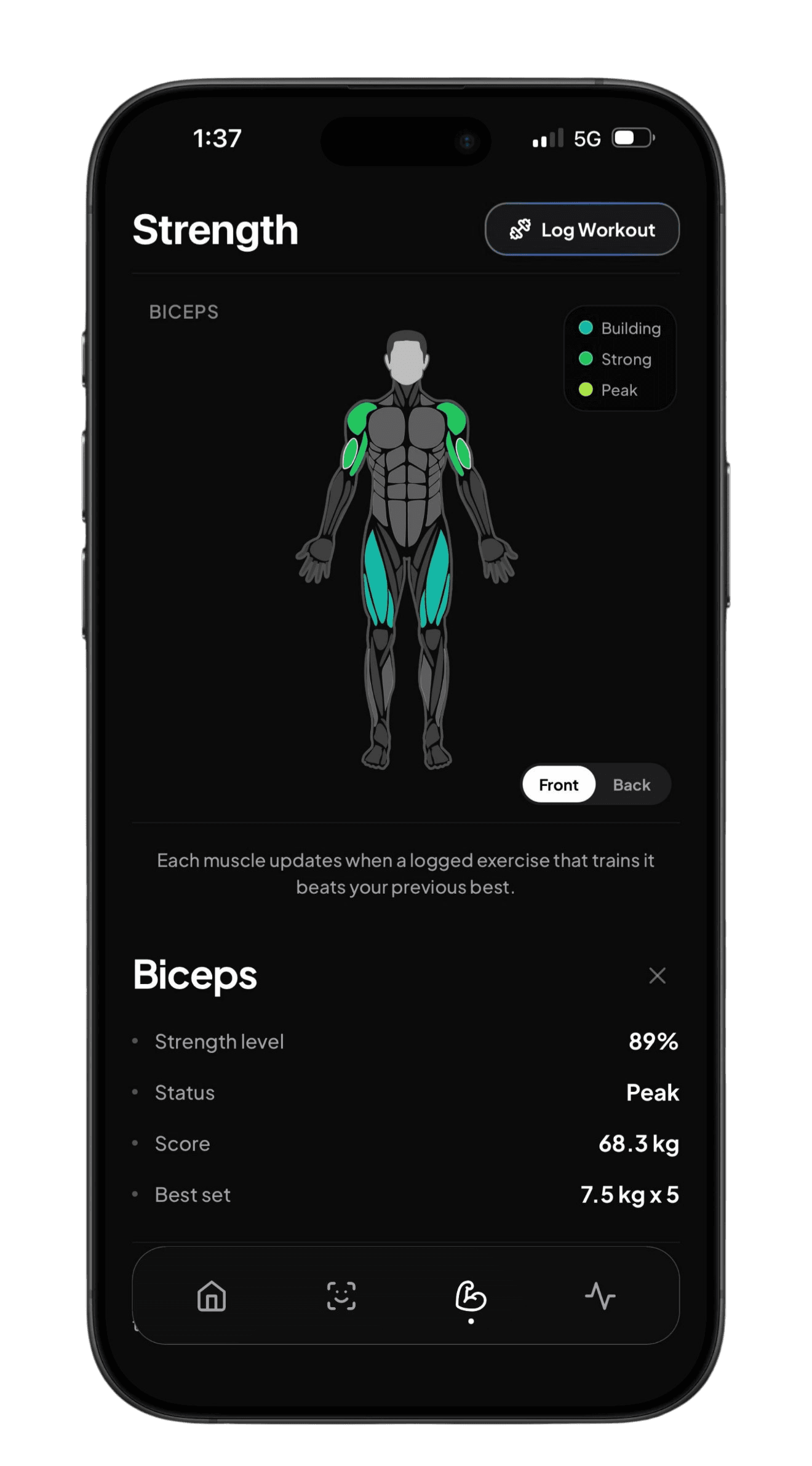 MuscleMaxx strength muscle map